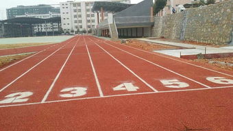 佛山市塑胶跑道工程公司
