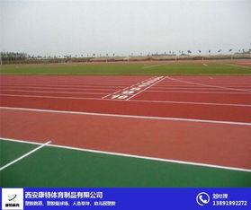 塑胶跑道生产厂 榆林塑胶跑道 陕西塑胶跑道厂家 查看