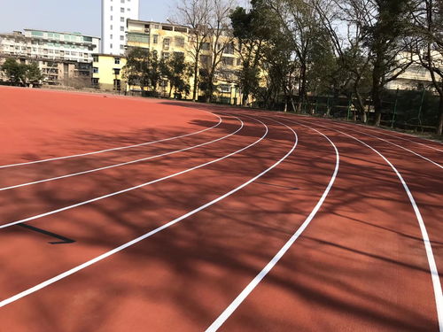 新国标混合型塑胶跑道