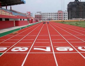 浙江金华市义乌市塑胶地坪,宁波塑胶跑道供应商