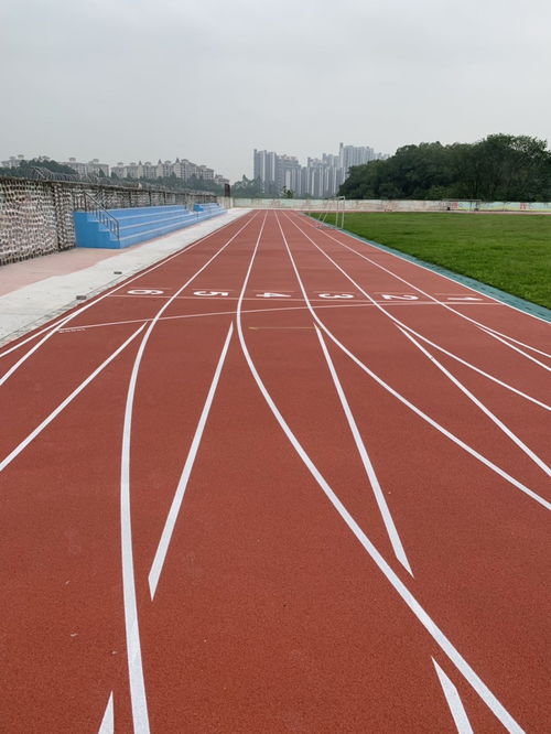 新国标混合型塑胶跑道与新国标预制型塑胶跑道,哪一个更实用