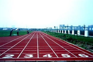 江苏溧阳塑胶跑道施工价格生产厂家