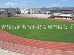 供应不脱颗粒混合型塑胶跑道_运动、休闲_世界工厂网中国产品信息库