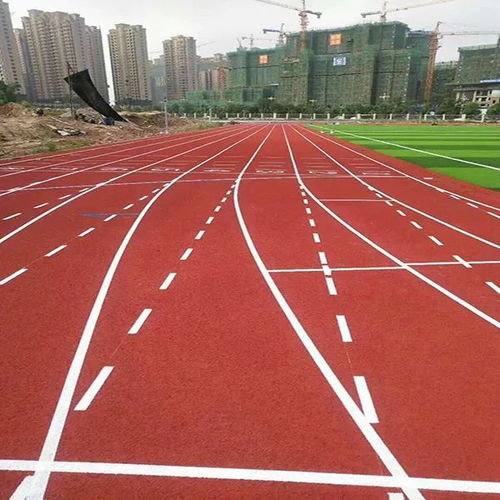 塑胶跑道有哪些种类 如何区别各种塑胶跑道