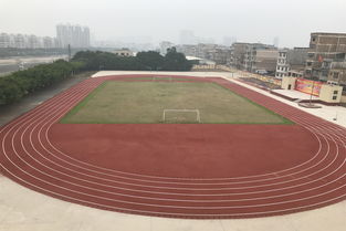塑胶跑道原材料供货商的关键角色与市场趋势