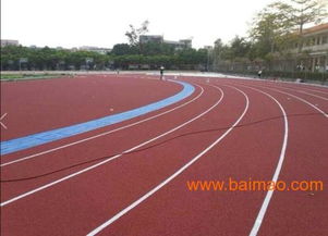 温岭市混合型塑胶跑道供应 生产厂家与价格全解析