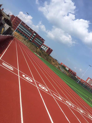塑胶跑道 运动场上的安全与美观之选