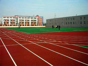 河北地区室内塑胶跑道价格解析与选购指南
