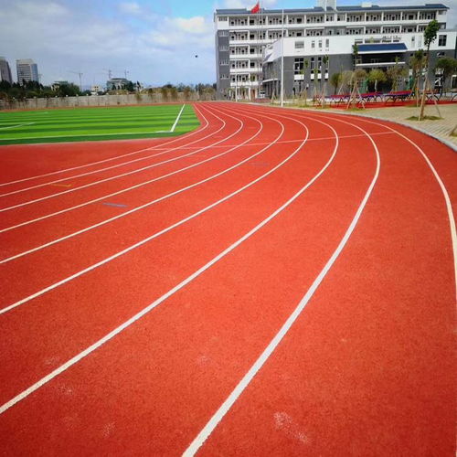 预制型塑胶跑道全解析 肇庆材料与铝合金道牙价格指南