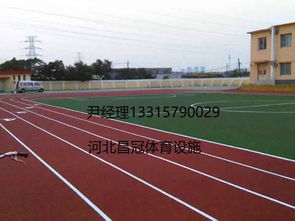 塑胶跑道施工全解析 技术与要点