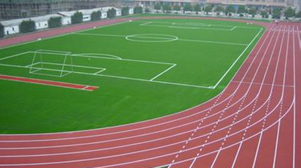 毒跑道不可不追查到底——21315董事长陈泽华谈塑胶跑道安全问题